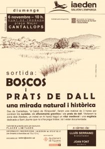 sortida-boscos-i-prats-de-dall